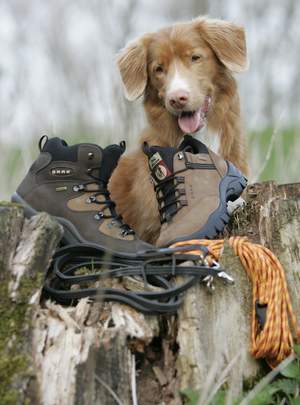 Hundebesitzer, die tagtäglich mit mit ihrem Vierbeiner in der Natur unterwegs sind, brauchen robustes, trittsicheres  Schuhwerk